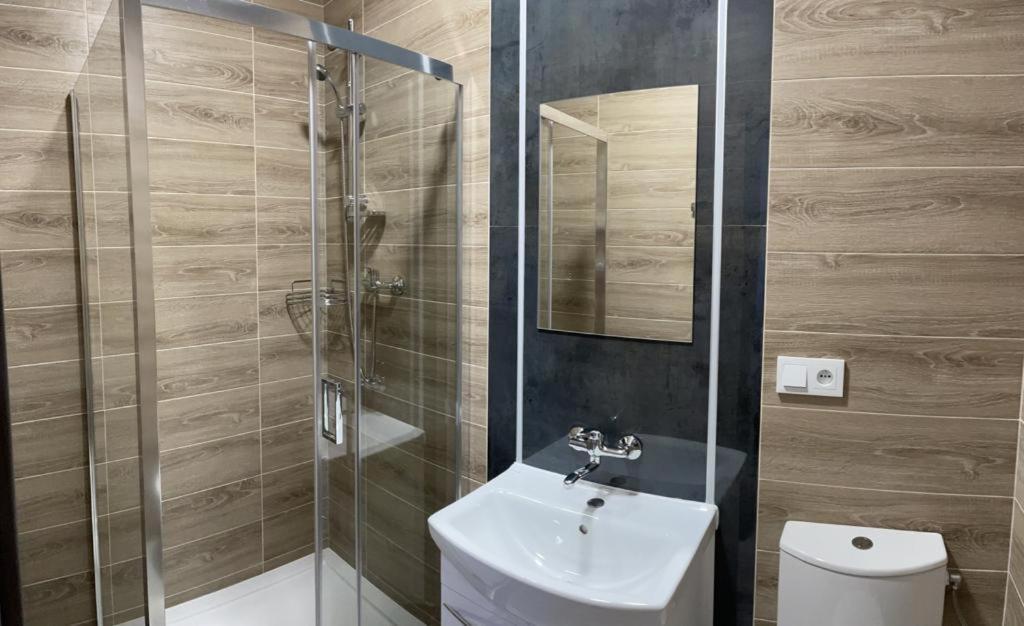 Good Night Noclegi & Strefa Z Sauna I Jacuzzi Ogolnodostepna Lub Na Wylacznosc Czechowice-Dziedzice Εξωτερικό φωτογραφία